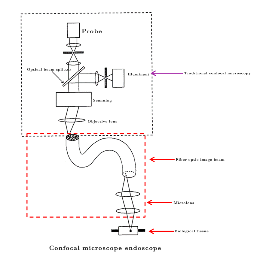 Confocal_endoscope.webp