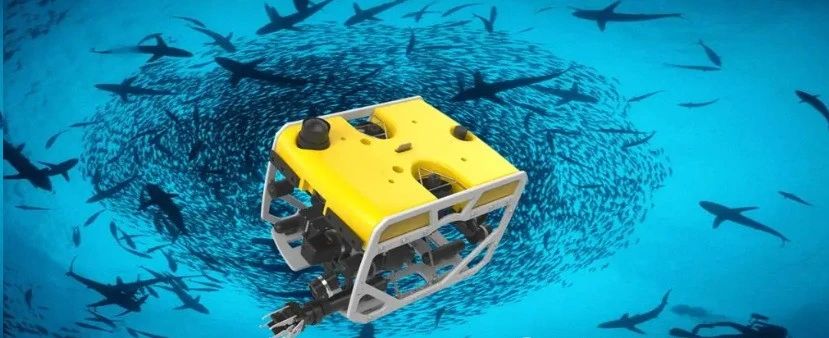 Untethered_Underwater_Robots.jpg